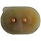 Continental/Teves Bmw 525I 03-01/528I 00-97/530I 03-01/540 Power Window Mo, Wl44231 WL44231 - alternate 2
